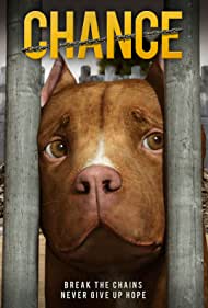 Watch Free Chance (2019)