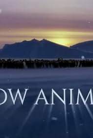 Watch Free Snow Animals (2019)