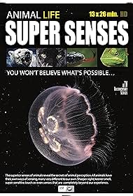 Watch Free Super Senses (2015–)