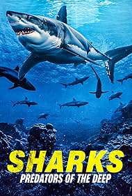 Watch Full Movie :Sharks Predators of the Deep (2024)