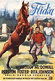 Watch Full Movie :My Friend Flicka (1943)